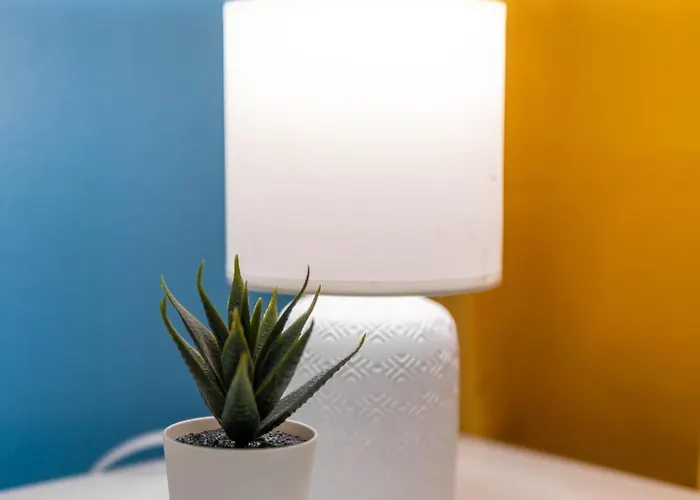 Deja Blue Old Center Studio. * סופיה