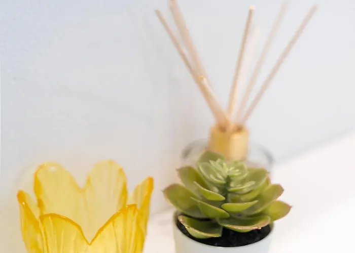 Daire Deja Blue Old Center Studio.